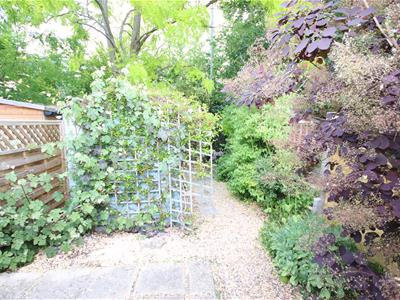 Picture 11